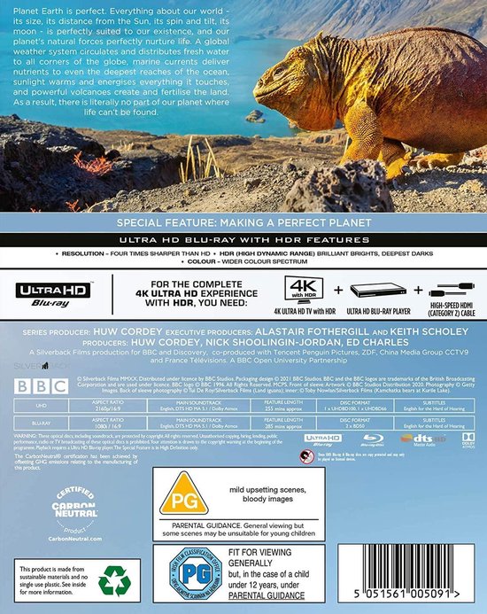 tortue, reptile, désert, habitat rocheux, brun